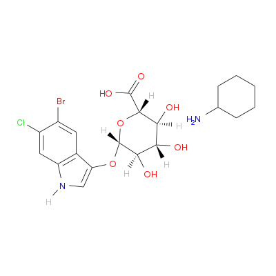 5-溴-4-氯-3-吲哚基-β-D-葡糖苷酸环己胺盐