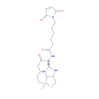生物素-马来酰亚胺