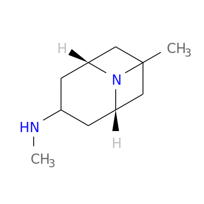 内向-3-甲氨基-9-甲基-9-氮杂双环[3.3.1]壬烷