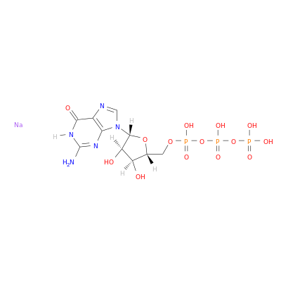 鸟苷-5′-三磷酸钠盐(GTP)